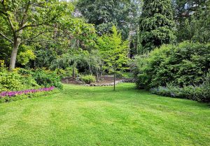 Optimiser l'expérience du jardin à Moisselles